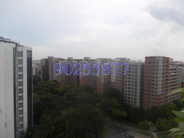 Blk 952 Hougang Avenue 9 (Hougang), HDB 4 Rooms #120150162